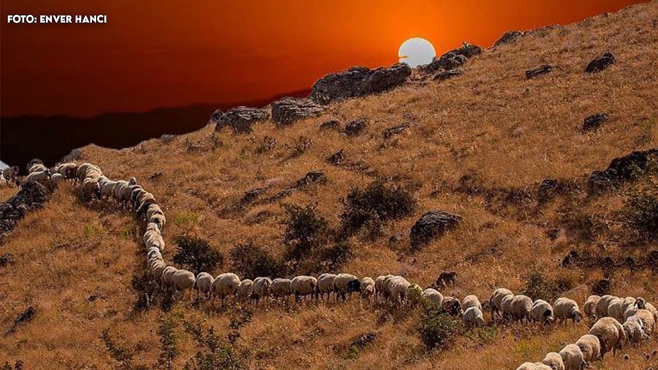 Elazığ'da hava bugün nasıl olacak? (3.09.2026)
