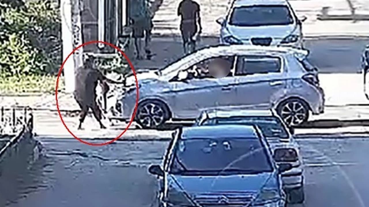 Yürek yakan kazada yeni karar: Serbest bırakılmıştı, tutuklandı