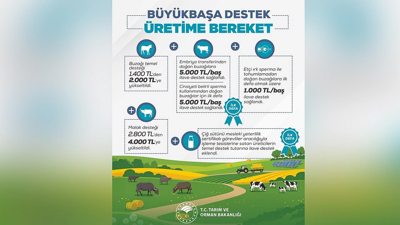 Hayvancılık desteklerinde büyük artış: Üreticilere müjde