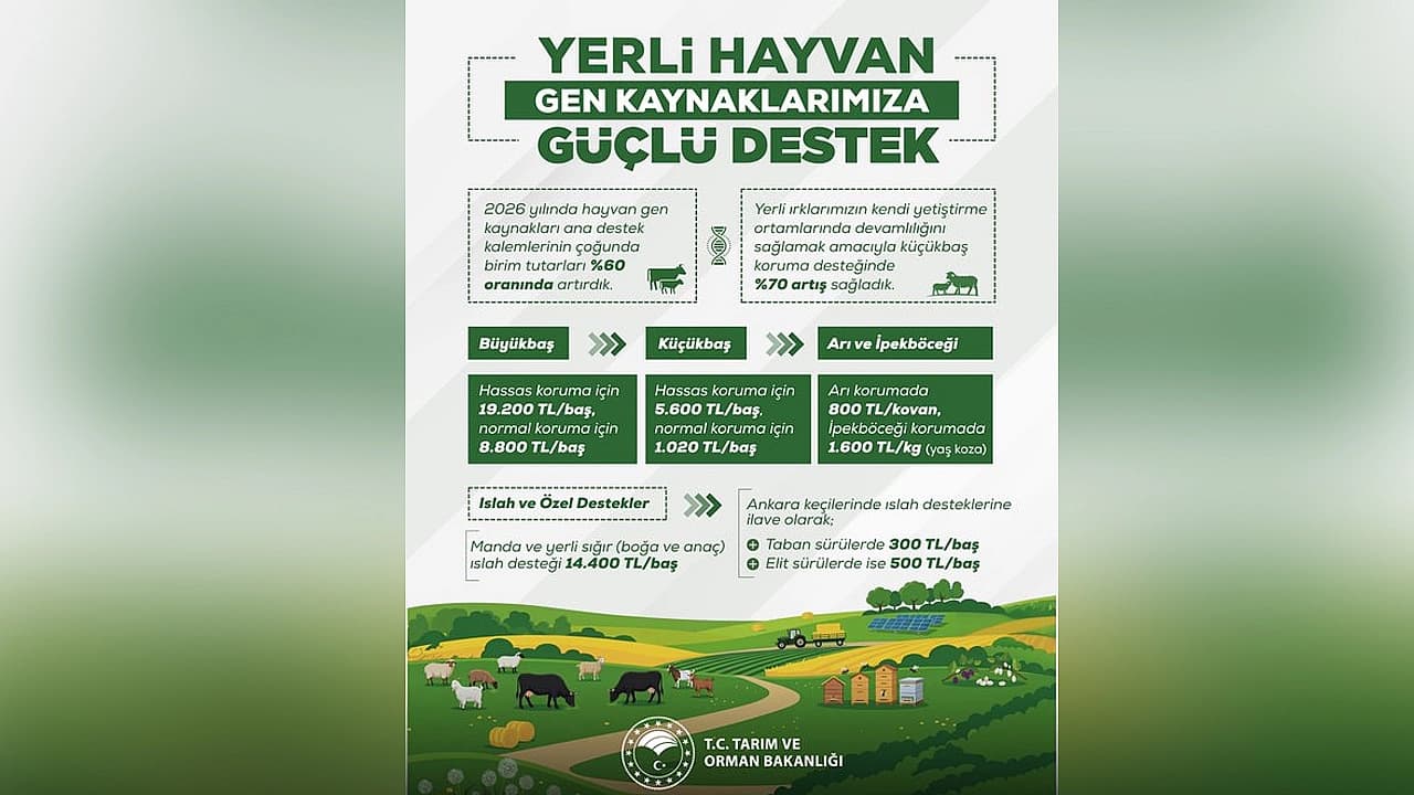Yerli hayvan gen kaynaklarına destekler artırıldı