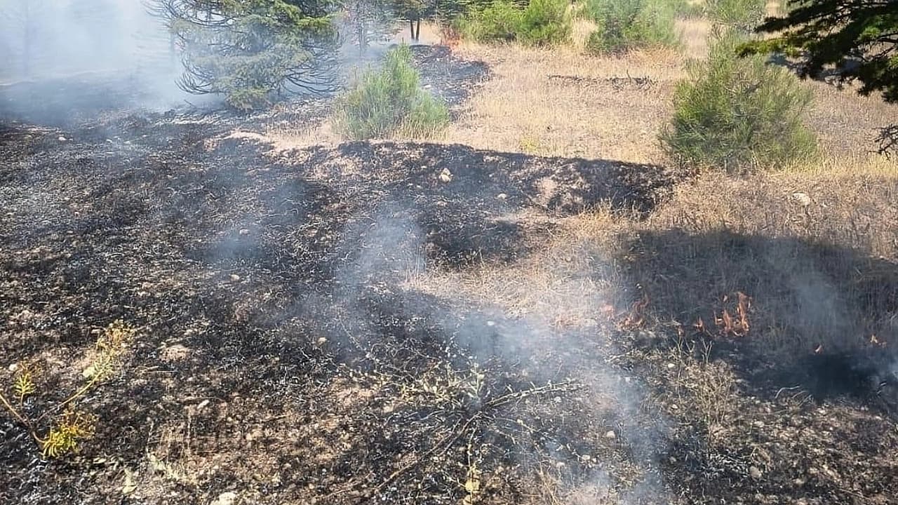 Elazığ’da ağaçlık alanda örtü yangını