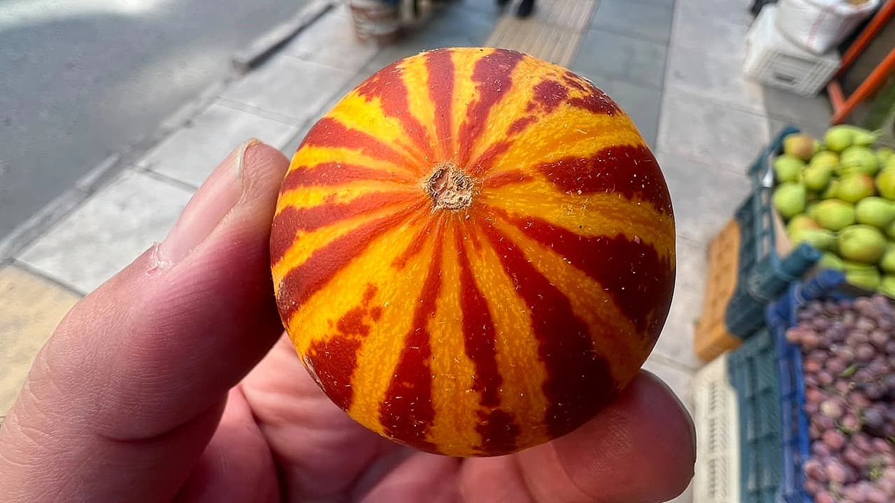 Elazığ'da şamama kavunu tezgahlardaki yerini aldı