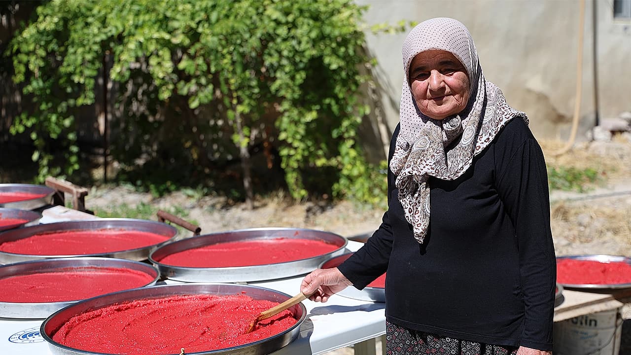 Ağın'da kış hazırlığı: domates salçası tepsilerde güneşte olgunlaşıyor