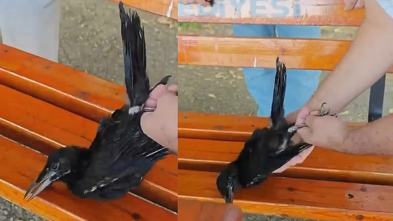 Elazığ’da vatandaştan yürek ısıtan hareket