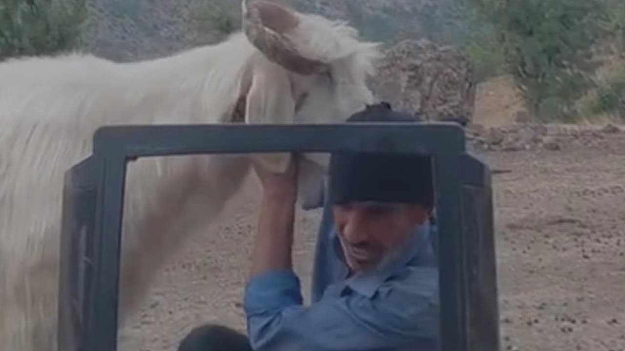 Elazığ’da çobandan sıra dışı hava durumu sunumu