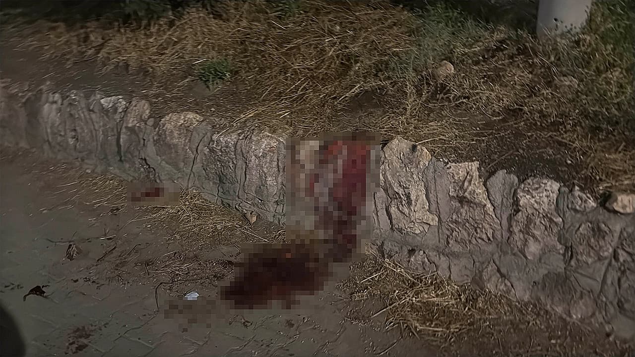 Bıçaklı kavgada 17 yaşındaki çocuk ağır yaralandı