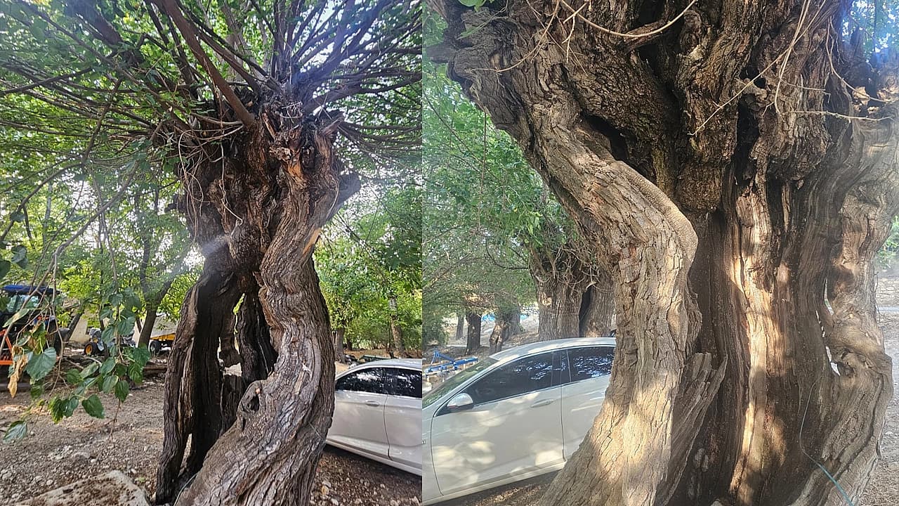 Elazığ'da doğal miras